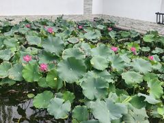 -廊坊市自然公园
