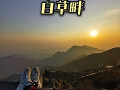 -白草畔自然风景区