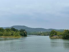 -佛手湖郊野公园