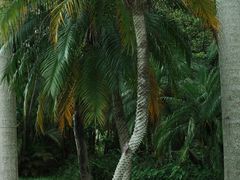 -人民公园(罗湖区)