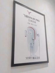 -YESIDO椰岛造型