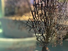 -上海中国航海博物馆