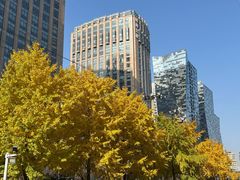 -北京万达文华酒店