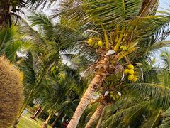 -三亚海棠湾万丽度假酒店