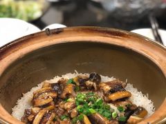 -红星光发煲仔饭(文海店)