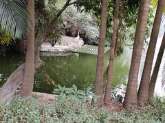 -深圳野生动物园