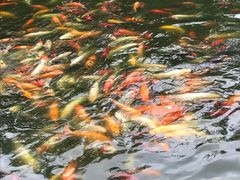 景点-月牙潭公园