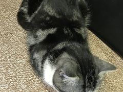 -一品格美术·中考高中成人美术培训