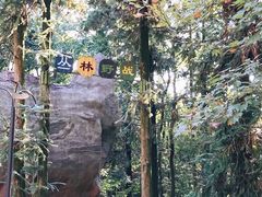 -象山森林公园