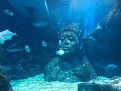 -暹罗海洋世界
