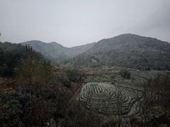 -浙江农林大学(东湖校区)
