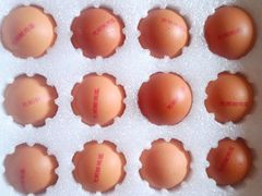 -光明食品集团有限公司