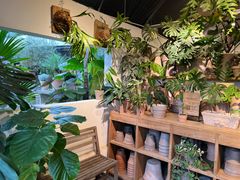-自由生长植物工作室(深港花卉中心店)