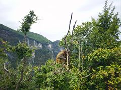 -重庆云阳龙缸景区