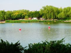 -大兴滨河森林公园
