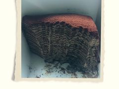 -Awfully Chocolate(来福士广场店)