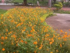 android_upload_pic-永记生态园