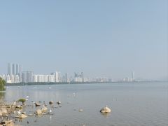 -深圳湾公园(南山区)