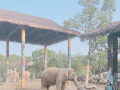 -上海野生动物园