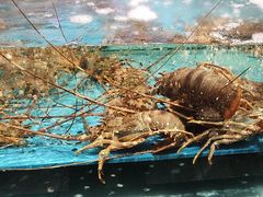 -阿伟海鲜楼·福建菜(延寿店)