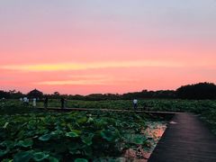 -梁鸿国家湿地公园