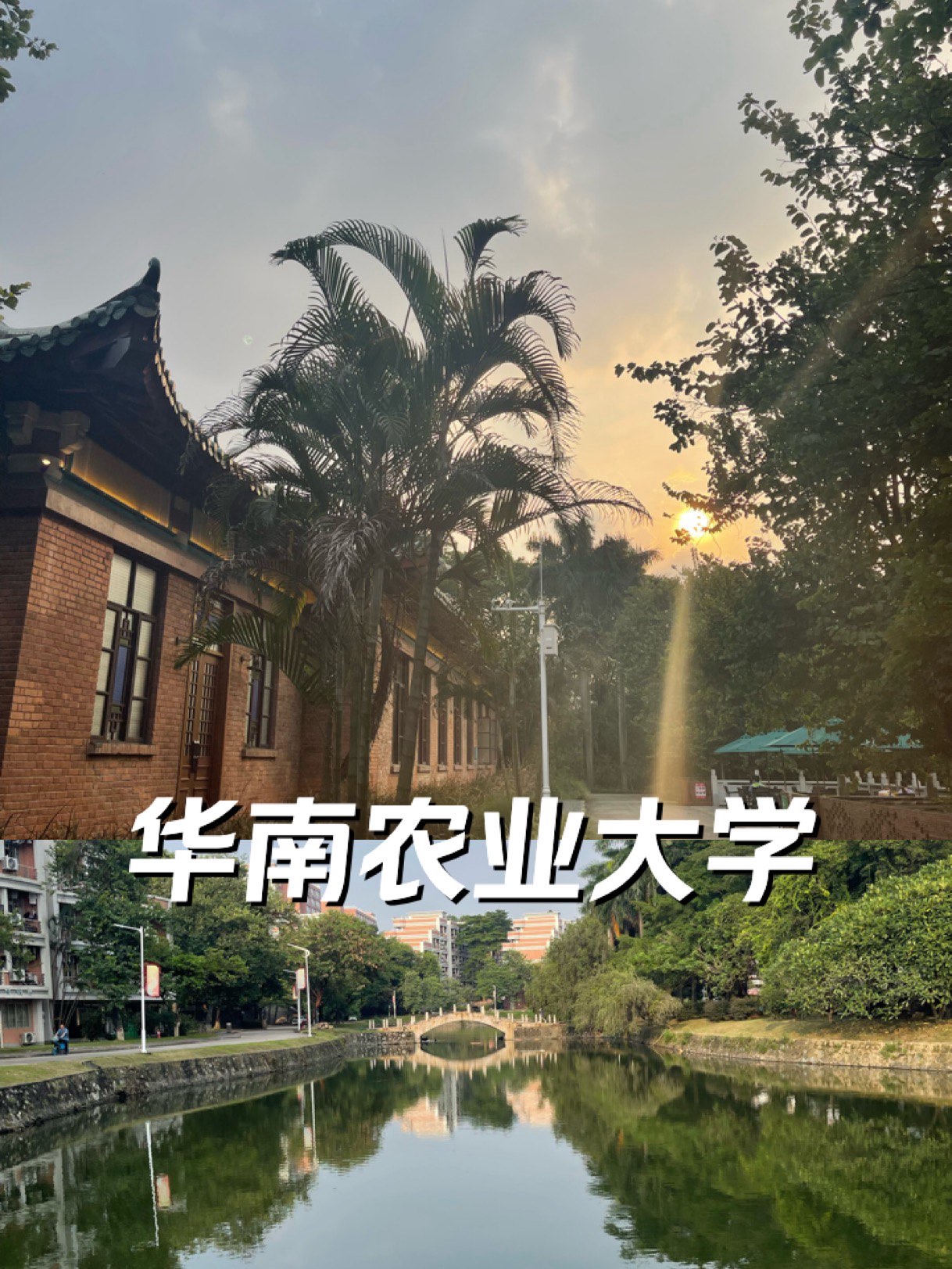 华南农业大学广州学院图片