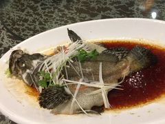 清蒸老鼠斑-顺德人家食府(黄金广场店)