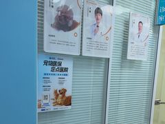 -全心全意连锁动物医院·微创中心·内科急重症·心脏专科(丰管路店)