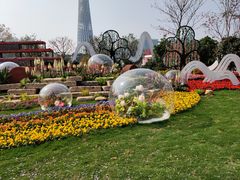 -海心沙亚运公园