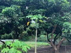 -洞背山庄(洞背院区式管理小区店)