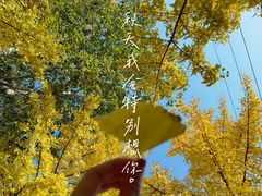 -古塔公园