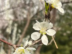 -三里河公园