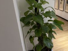 -麦子MaiMassage(打浦桥店)