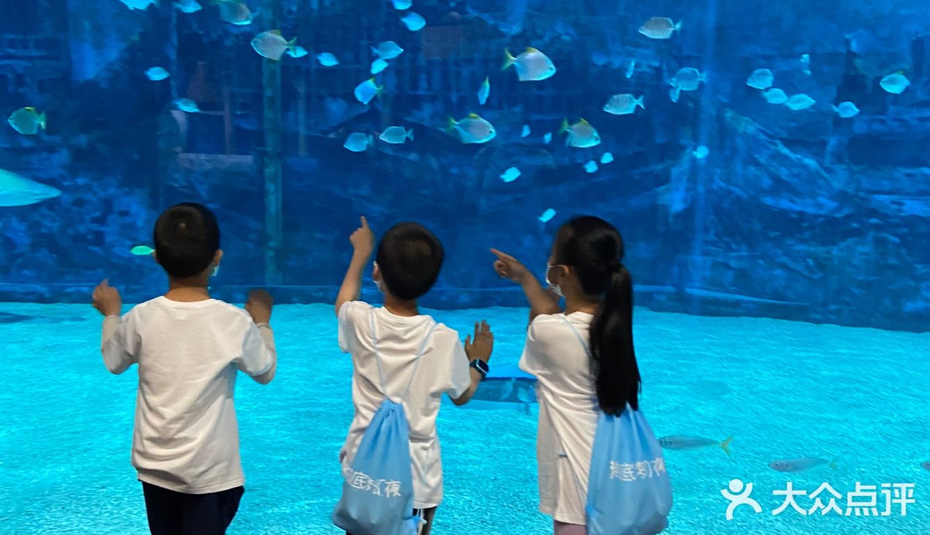 夜宿北京海洋馆