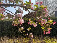 -元大都城垣遗址公园