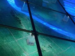 -上海长江河口科技馆