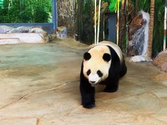 -海南热带野生动植物园