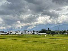 -喜林苑·稻田餐厅(品相府店)