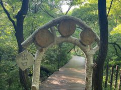 -大青沟风景区