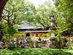 -普陀山风景名胜区-法雨禅寺