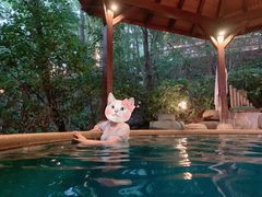 -天目湖涵田半山温泉水乐园