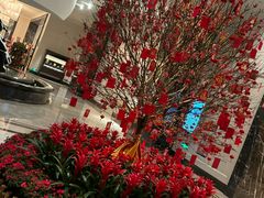 -东海朗廷酒店·廷廊 Palm Court