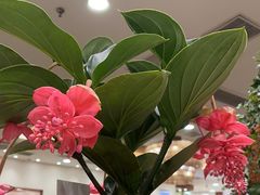 -第六季自助餐厅(北太平庄店)