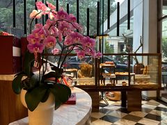 -广州白天鹅宾馆