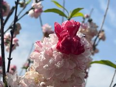 -福州大学(旗山校区)