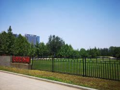 -大望京儿童游乐场