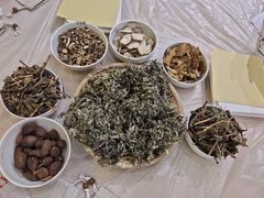 -广州神农草堂中医药博物馆