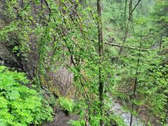 -峡谷浮石林景区