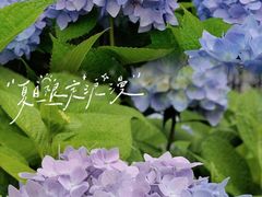 -西安博物院