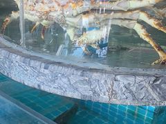 -百富源·海鲜辽菜(张士店)